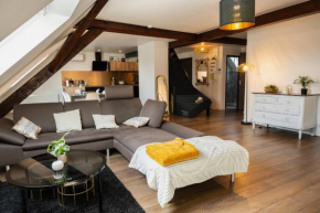 Beau duplex au pied des Vosges